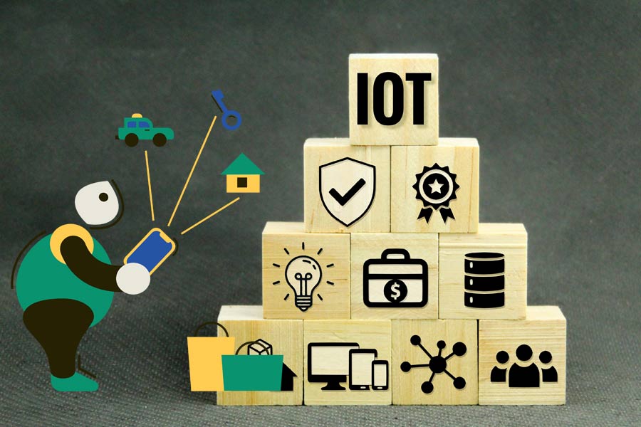 The Internet of Things: Understanding the Growing Use of IoT Technologies